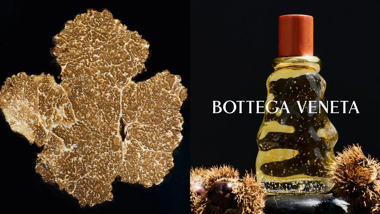 Bottega Veneta Launches Mezzanotte Fragrance Collection Inspired